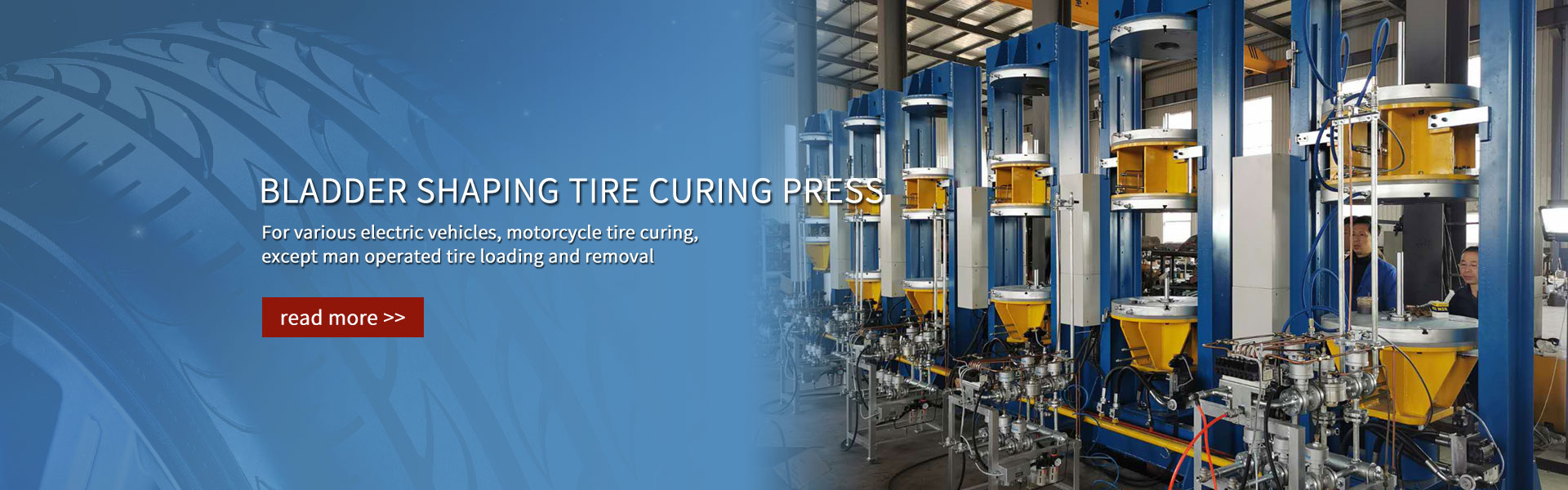 Bladder shaping tire curing press